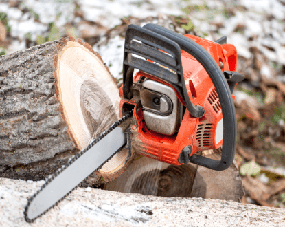 TIMBER CUTTING