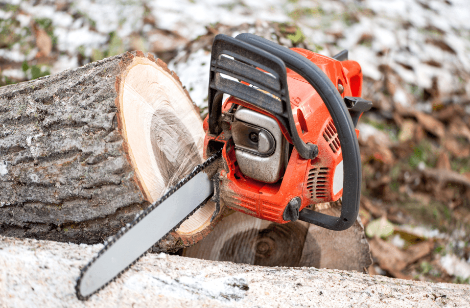 Anderson Bros Logging